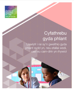 Cyfathrebu gyda phlant: Llawlyfr i rai sy’n gweithio gyda phlant sydd yn, neu efallai wedi, cael eu cam-drin yn rhywiol
